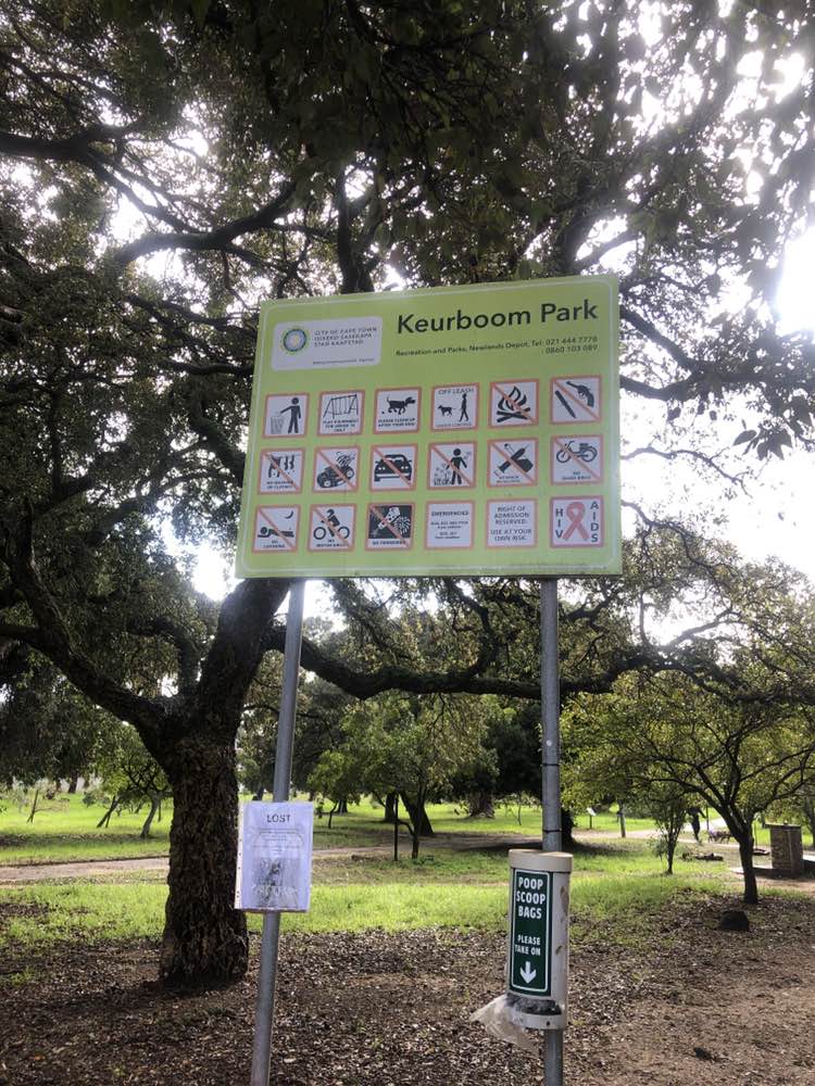 walking near me in Keurboom Park in winter