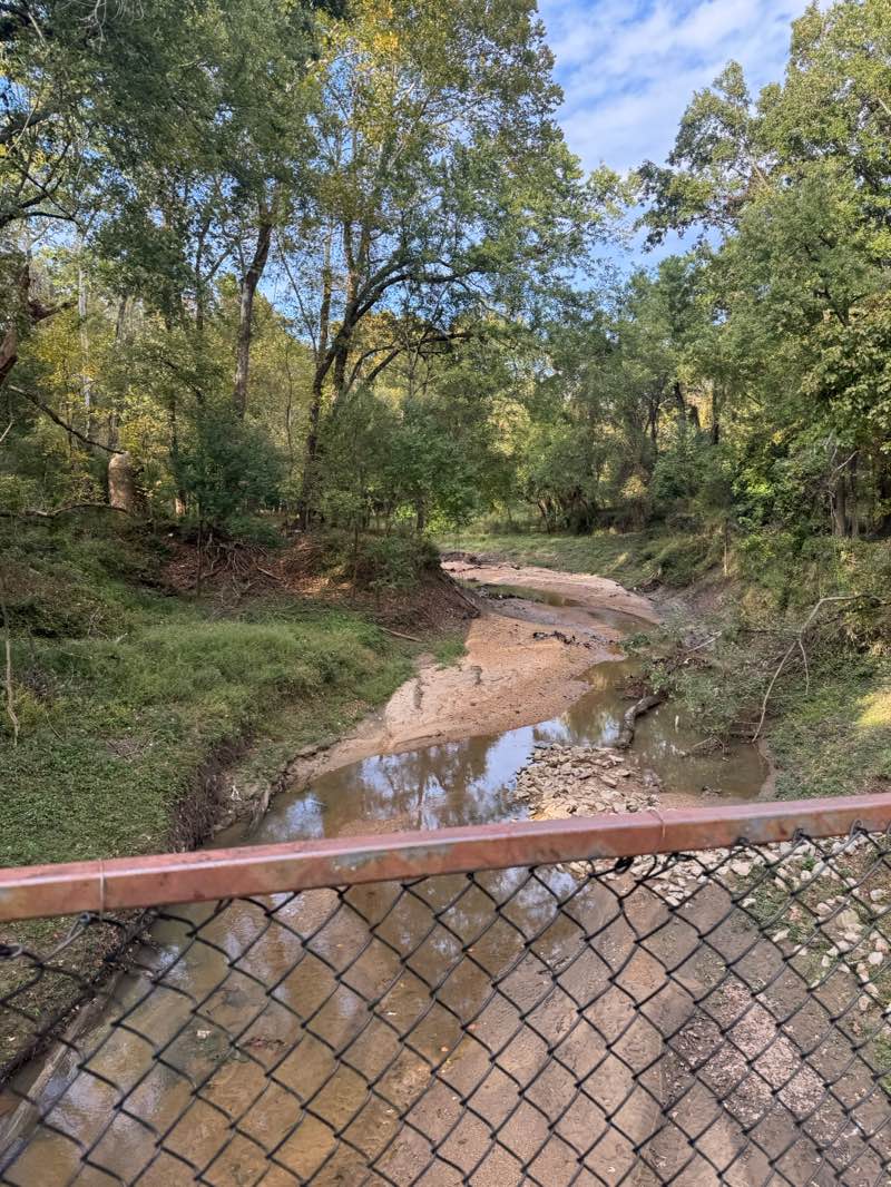 walking near me in Lefleur's Bluff State Park in autumn