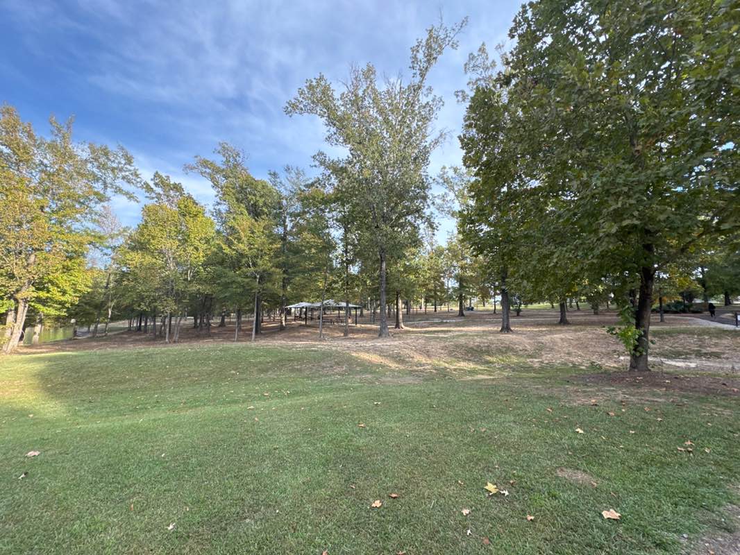 walking near me in Flowood Nature Trail in autumn