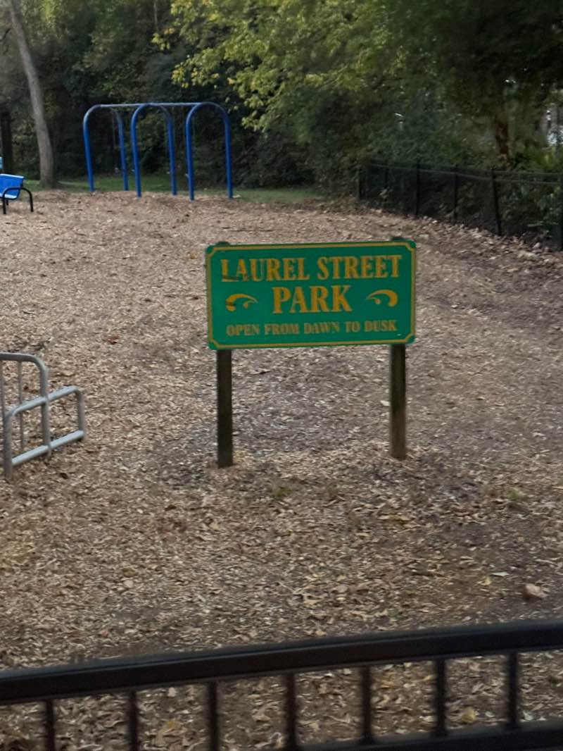 walking near me in Laurel Park in autumn