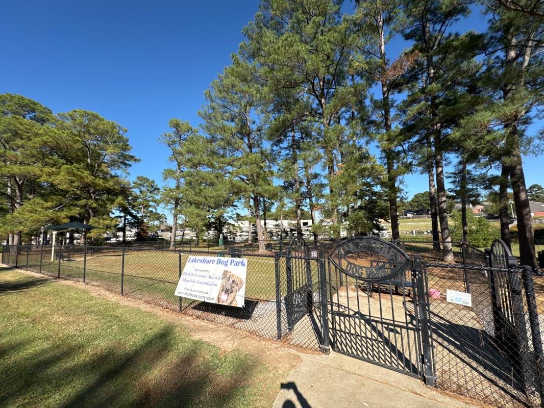 walking near me in Lakeshore dog park in autumn