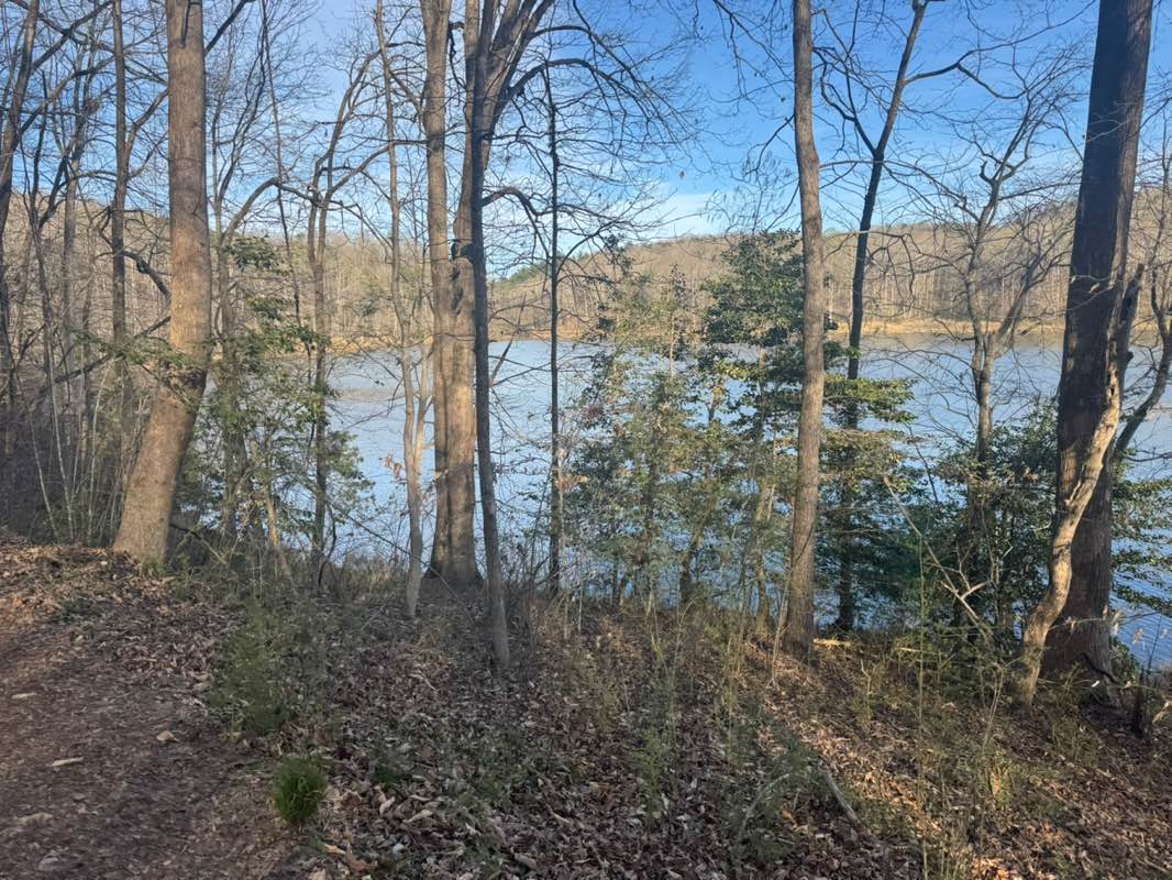 walking near me in Lake Zwerner and Yahoola Creek Reservoir in spring