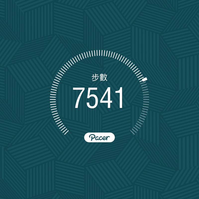 左營快樂健走族 琹 post image