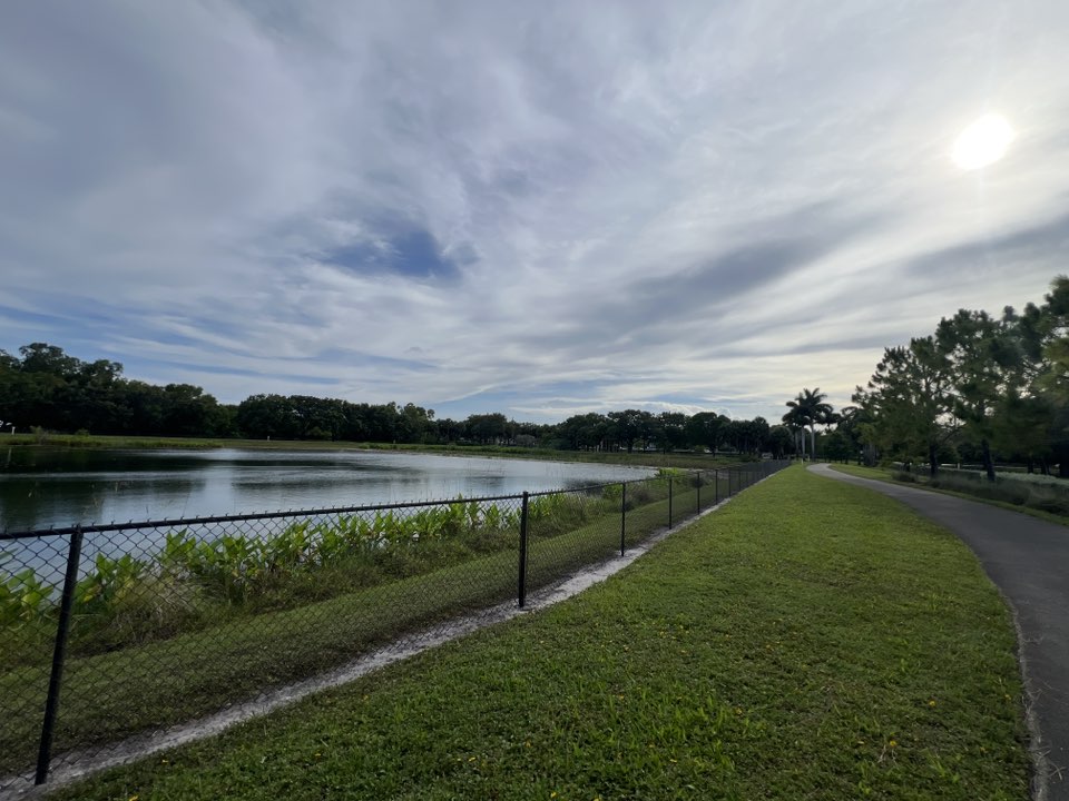 walking near me in Jerry Morgan Park in summer