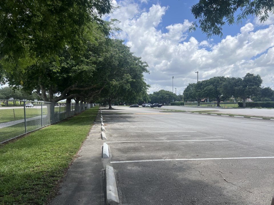 walking near me in Flamingo Park in summer