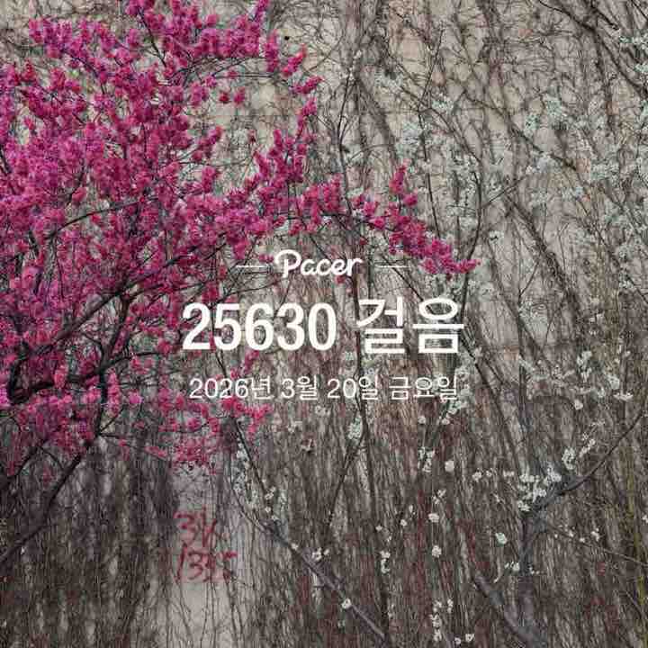 장미와국화 post 1