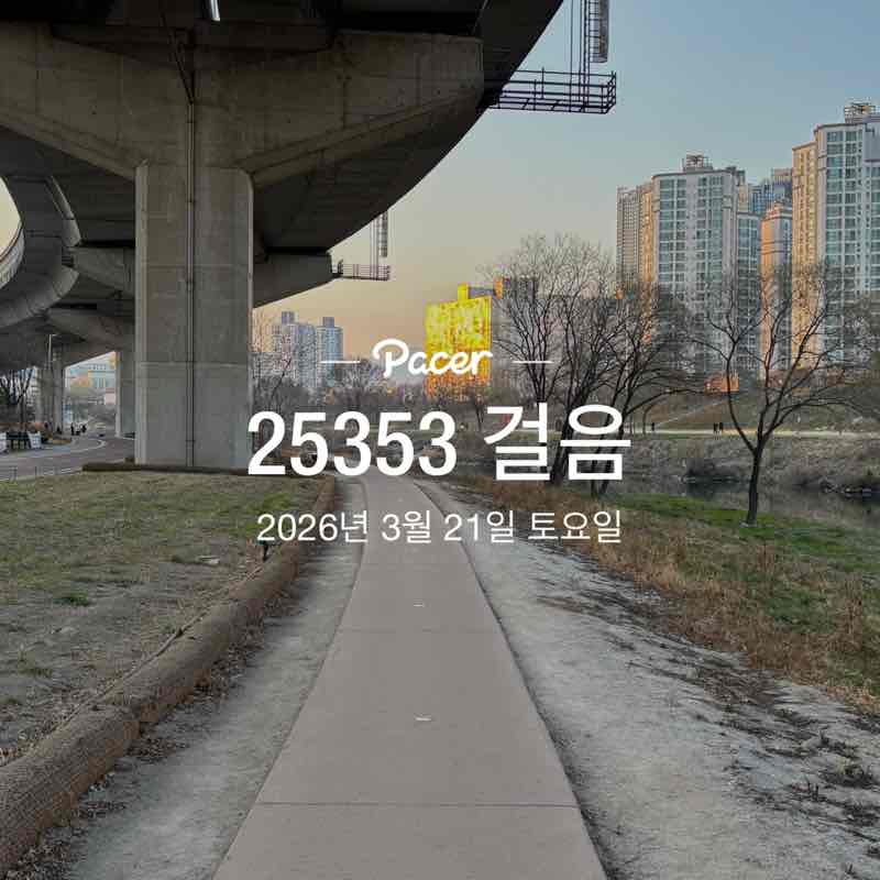 장미와국화 post 1