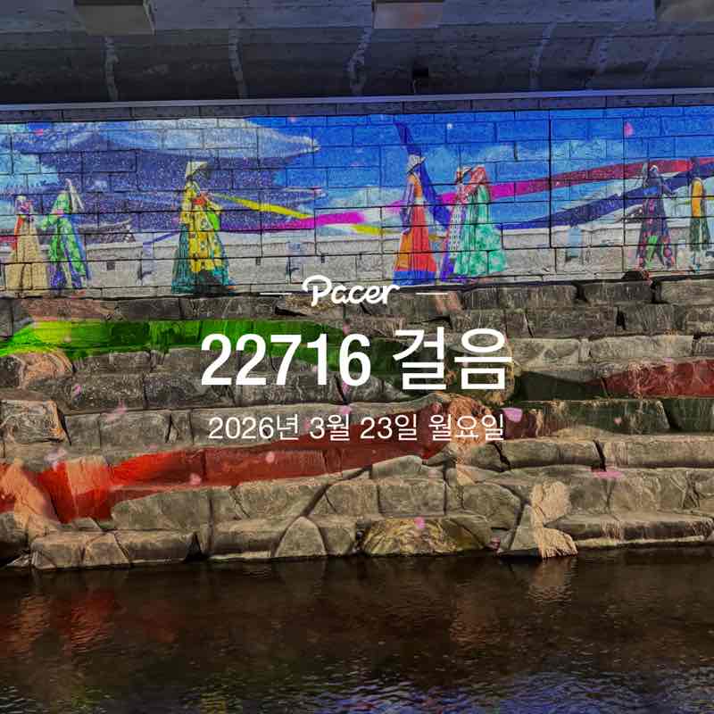 장미와국화 post 1