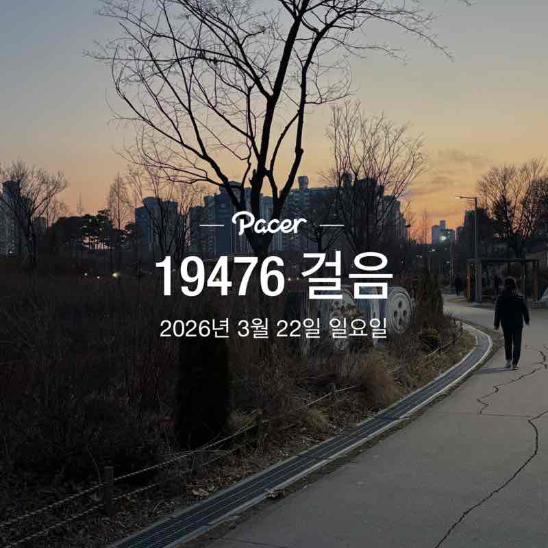 장미와국화 post 1