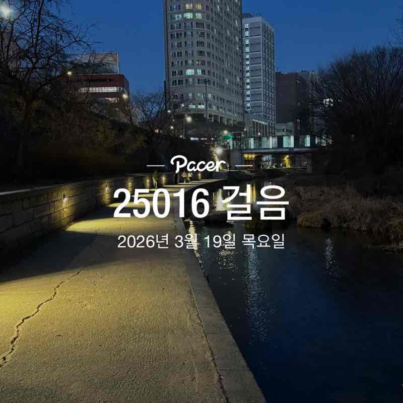 장미와국화 post 1