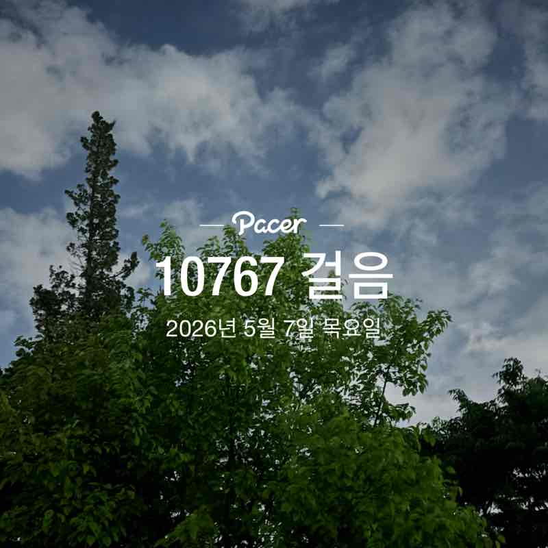 장미와국화 post 1