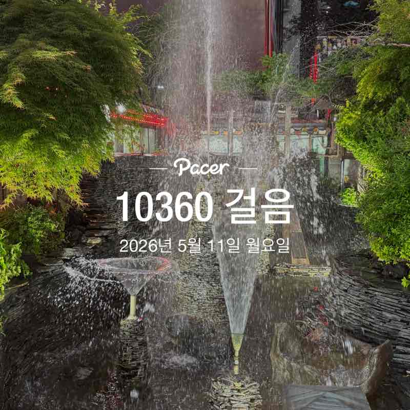 장미와국화 post 1