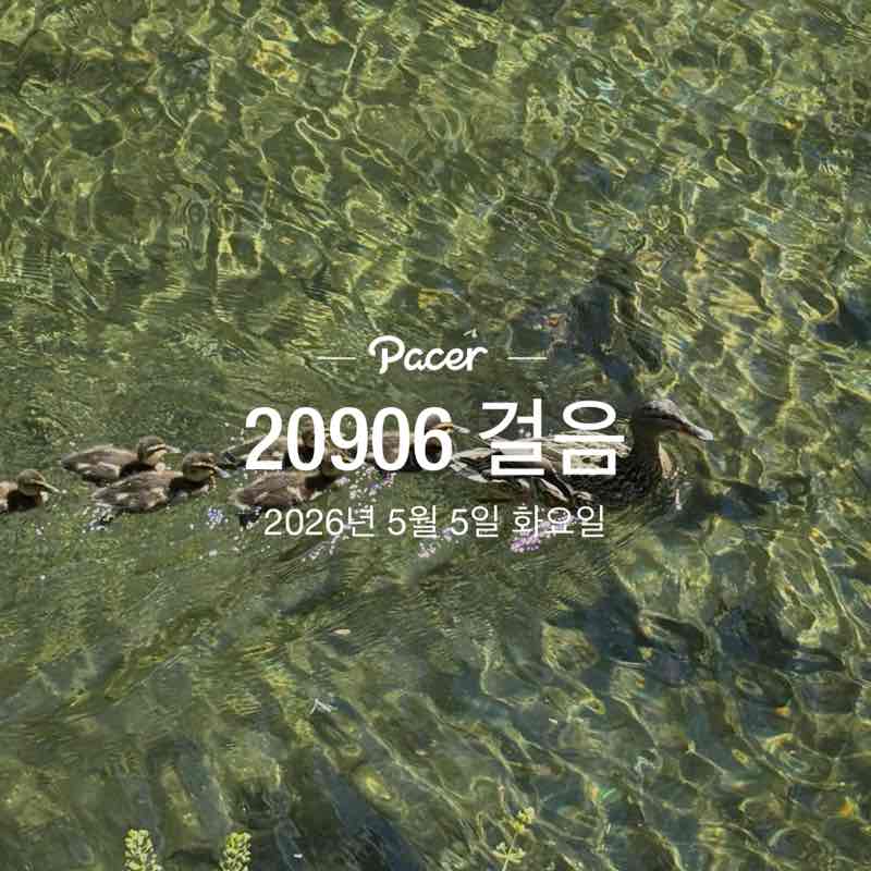 장미와국화 post 1