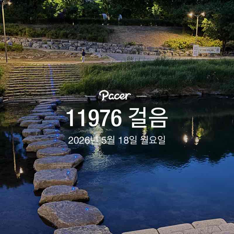 장미와국화 post 1