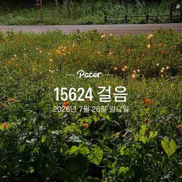 장미와국화 post 1