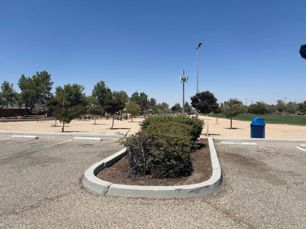 walking near me in Hook Park in autumn