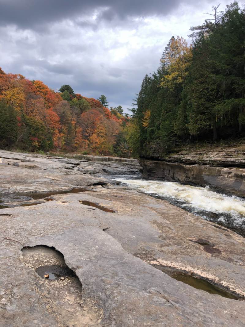 walking near me in Parc Lions in winter