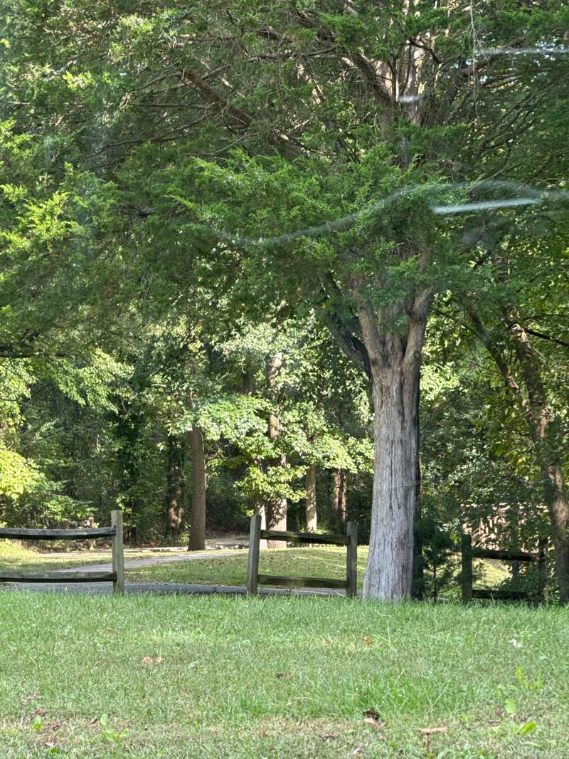 walking near me in Lee District Park in autumn
