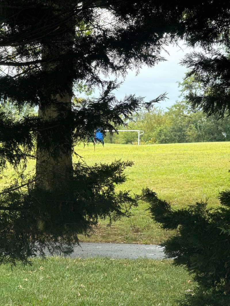 walking near me in Manchester Lakes Park in autumn
