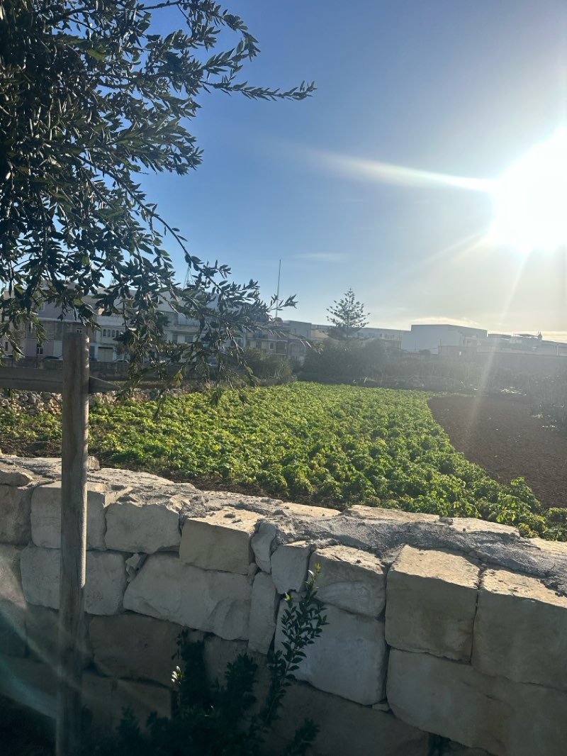 walking near me in San Klement in winter