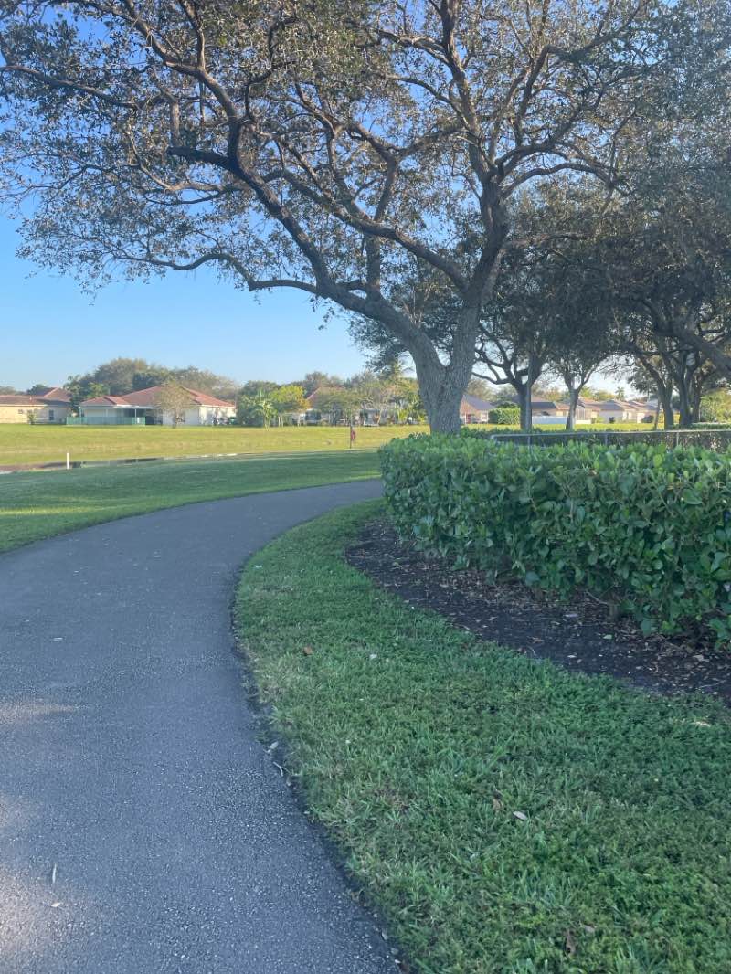 walking near me in Cypress Hammock Park in winter