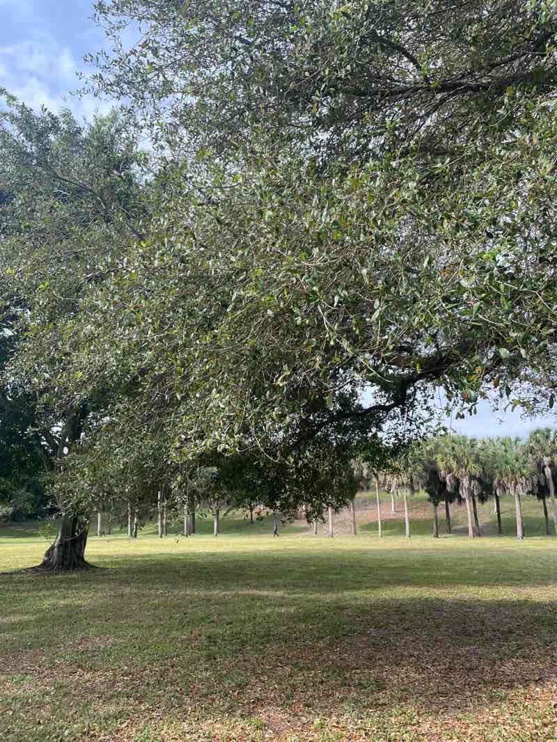 walking near me in Three Mountains Natural Area in winter