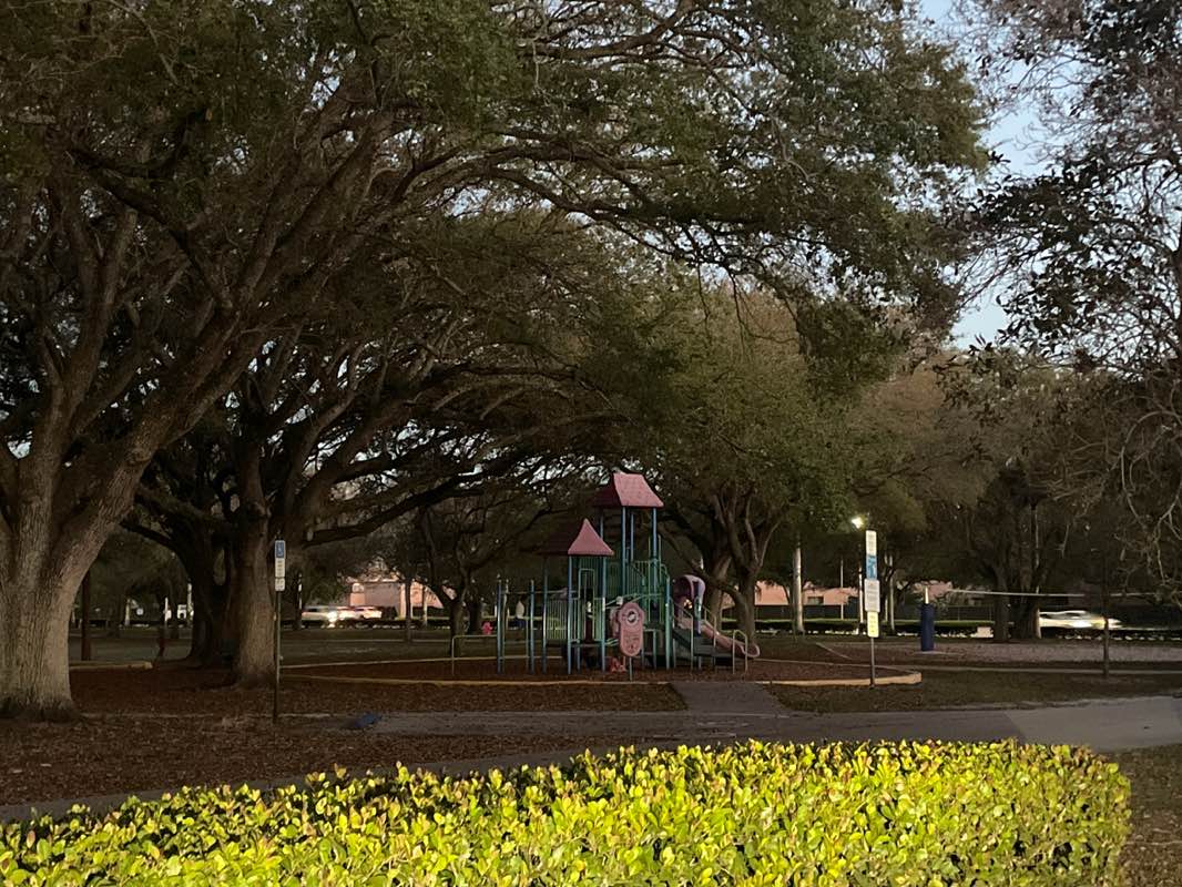 walking near me in Fern Glen Park in spring