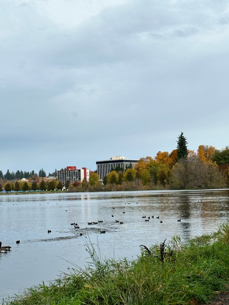 walking near me in Port Plaza Park in winter