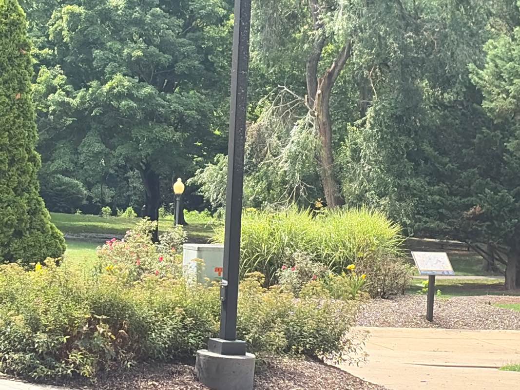 walking near me in Thomas P. Grater Memorial Park in summer