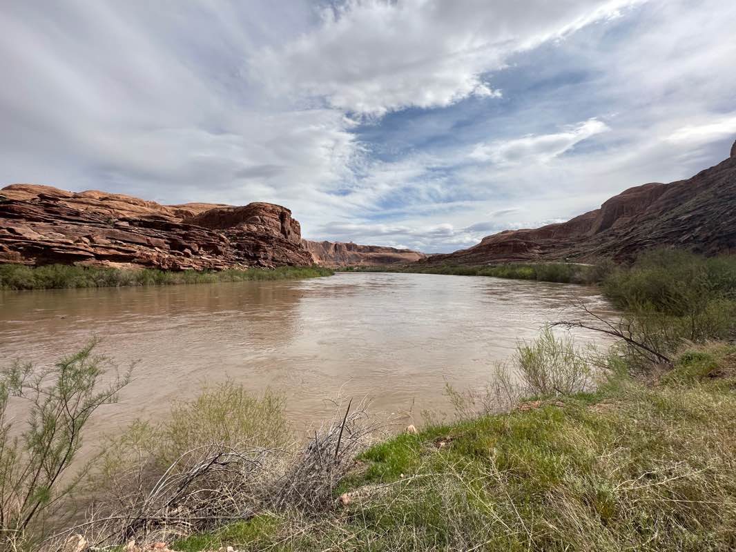 walking near me in Lions Park in winter