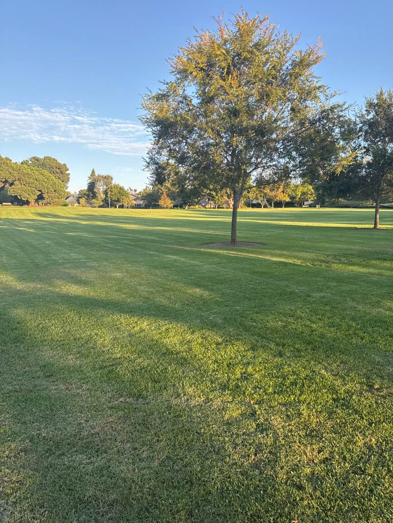 University Community Park in Irvine | Map and Routes