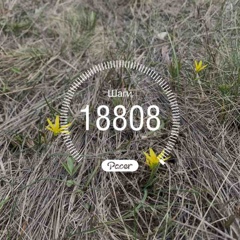 Елена Верховская post 1