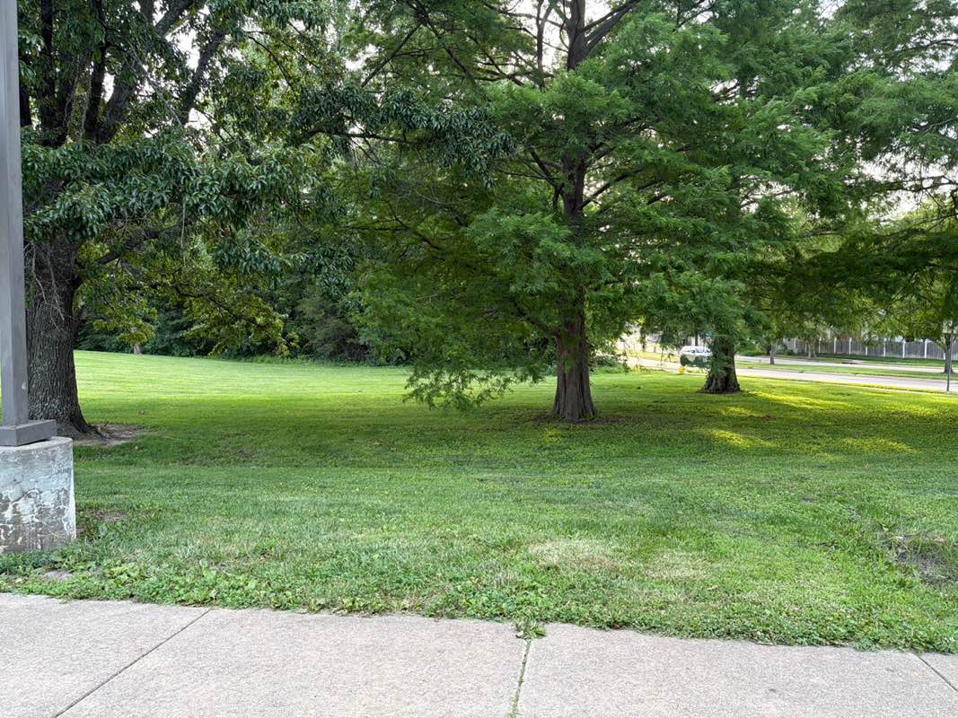 walking near me in Deerfield Park in summer
