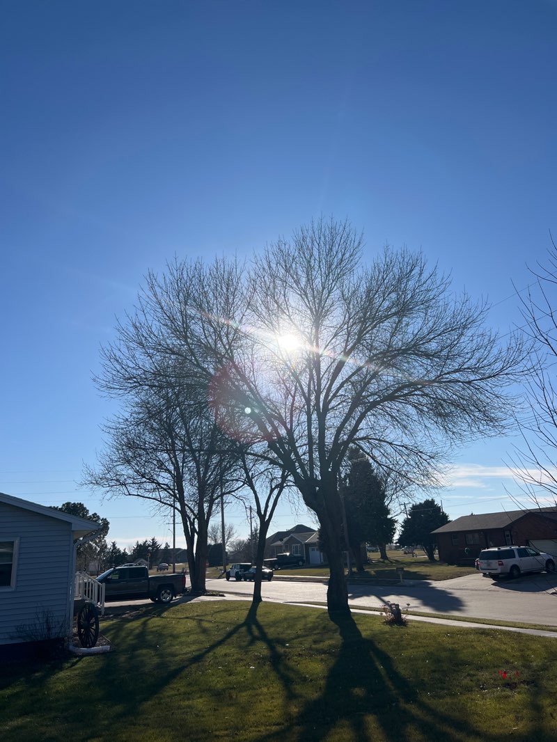 walking near me in Davis Park in winter