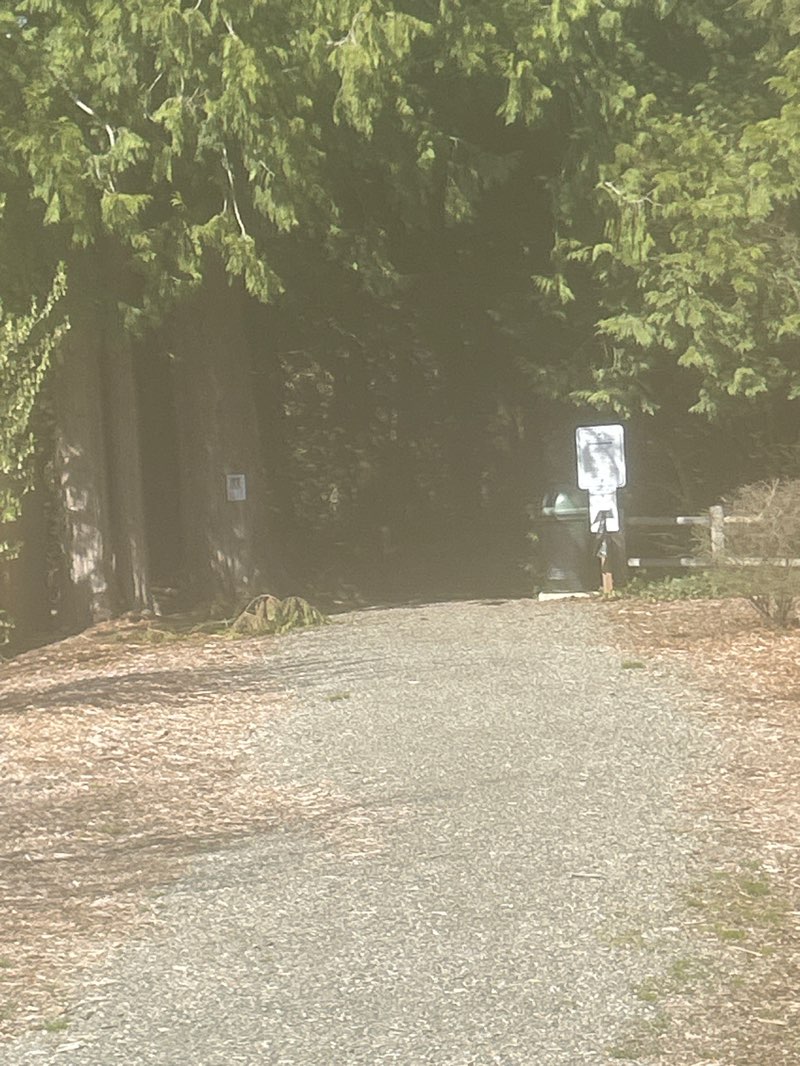 walking near me in Fernwood Natural Area in spring
