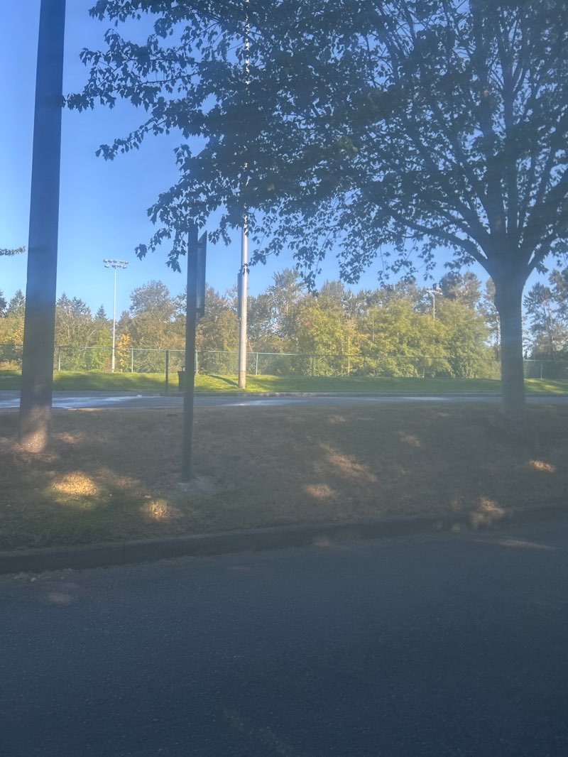 walking near me in Celebration Park in autumn