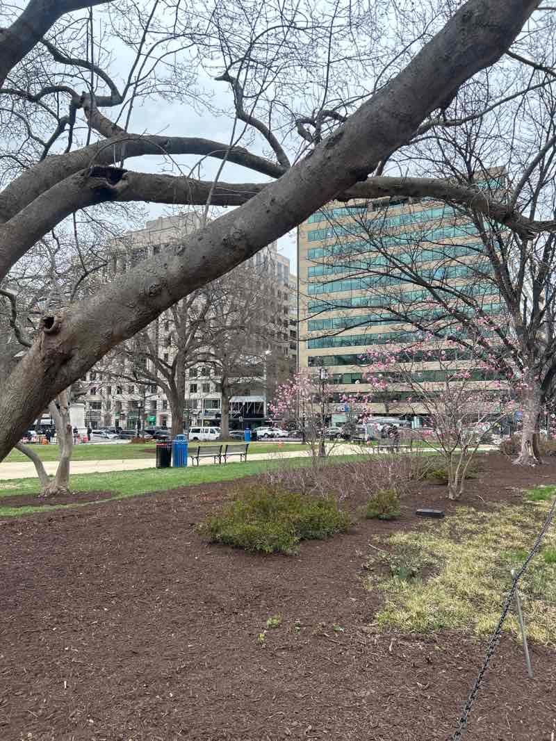 walking near me in Franklin Square in spring