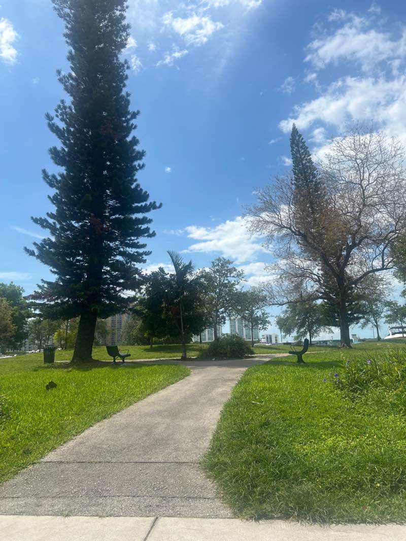walking near me in Winston Towers Park in spring