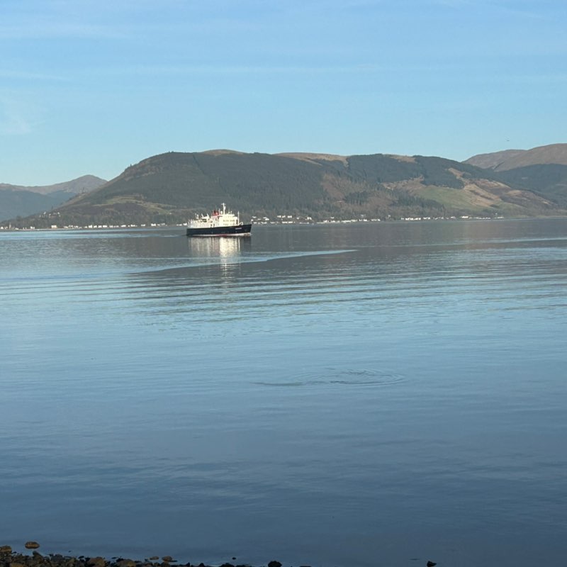 Gordy🏴󠁧󠁢󠁳󠁣󠁴󠁿🇬🇧🏴󠁧󠁢󠁳󠁣󠁴󠁿 post 2