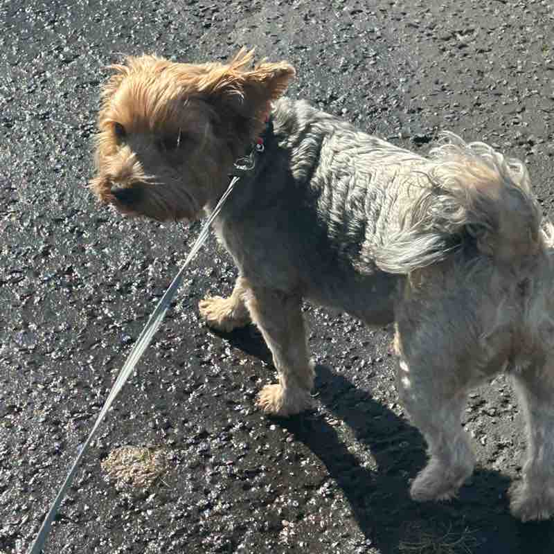 Gordy🏴󠁧󠁢󠁳󠁣󠁴󠁿🇬🇧🏴󠁧󠁢󠁳󠁣󠁴󠁿 post 1