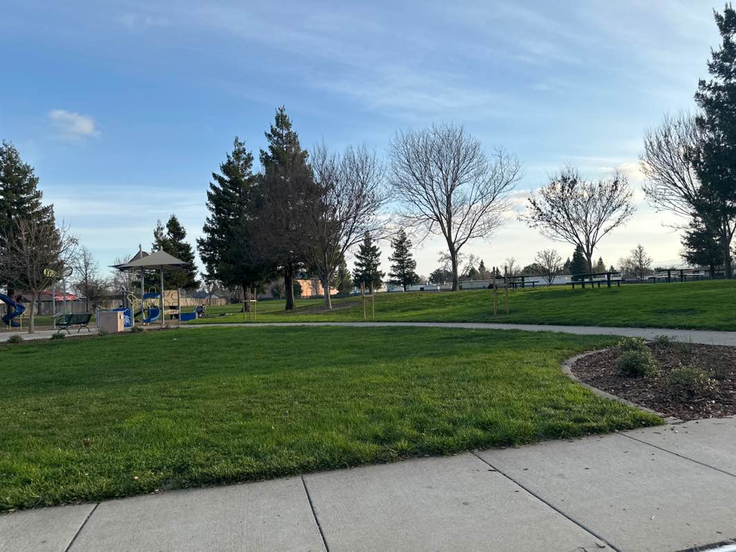 walking near me in Ken Yasui Park in winter