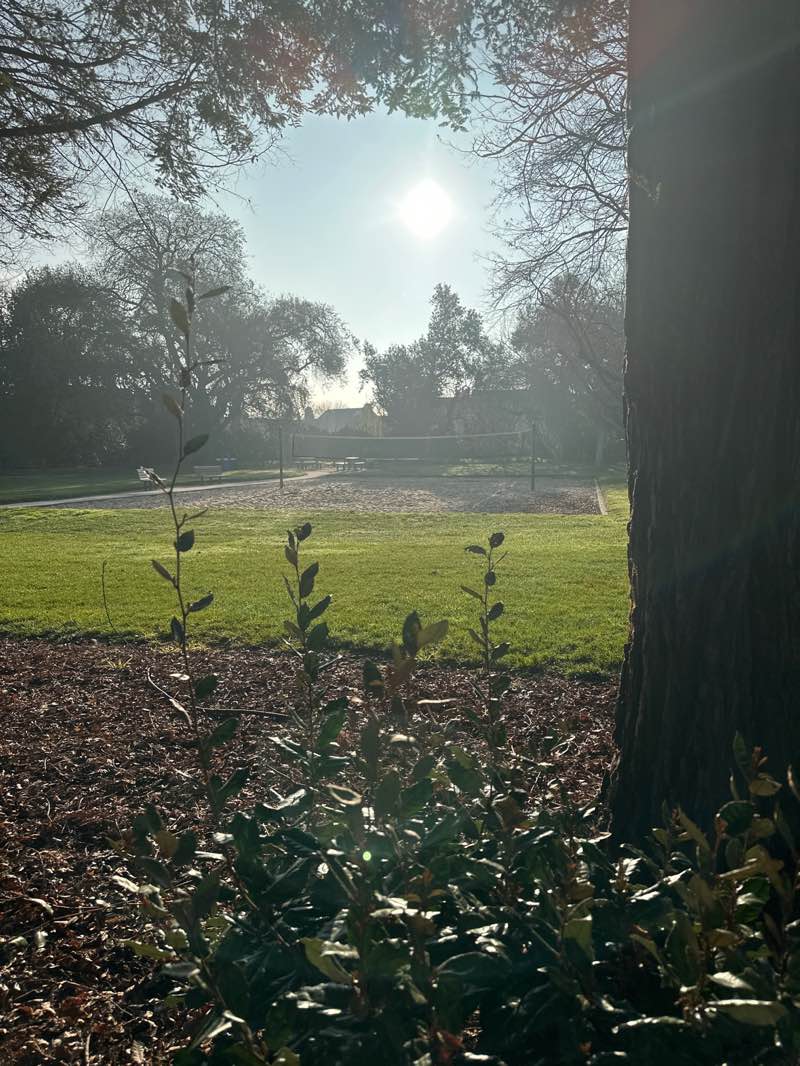 walking near me in Mape Memorial Park in winter