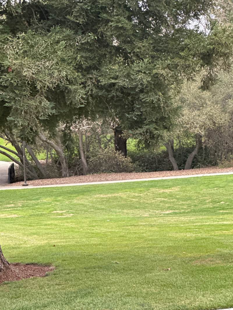 walking near me in Moller Park in winter