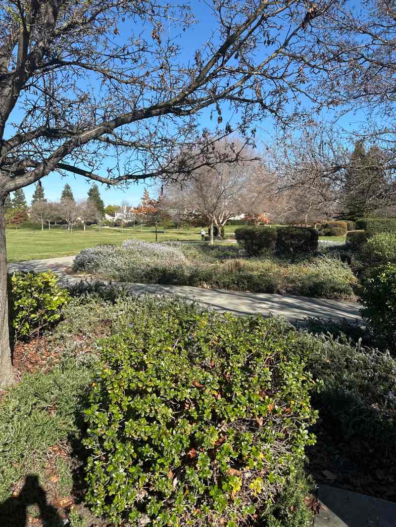 walking near me in Bruno Canziani Neighborhood Park in winter