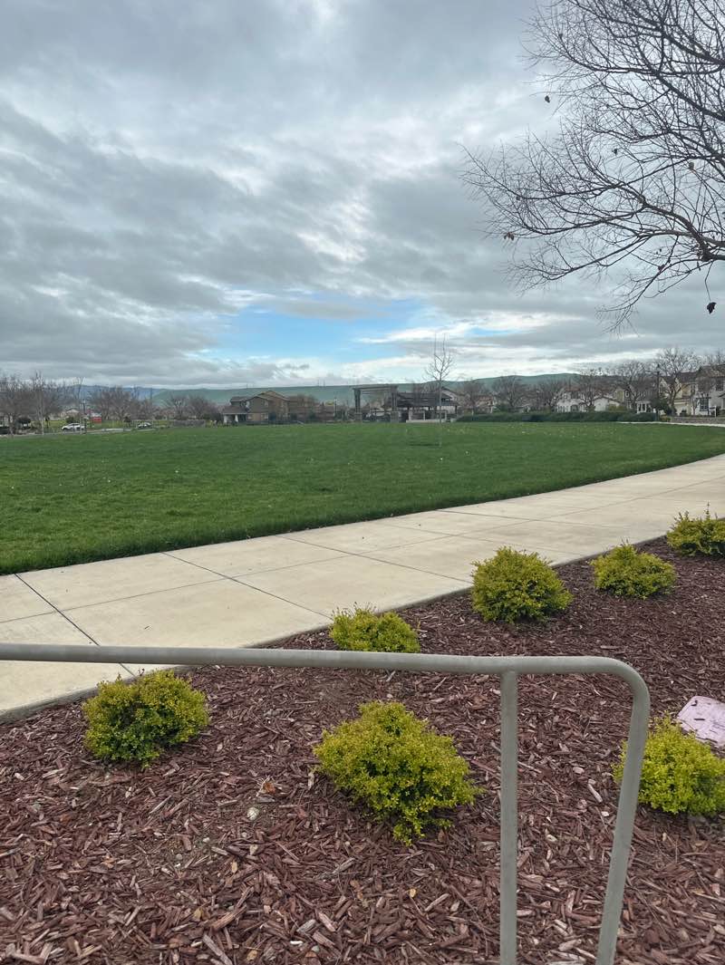 walking near me in Village Green Park in winter