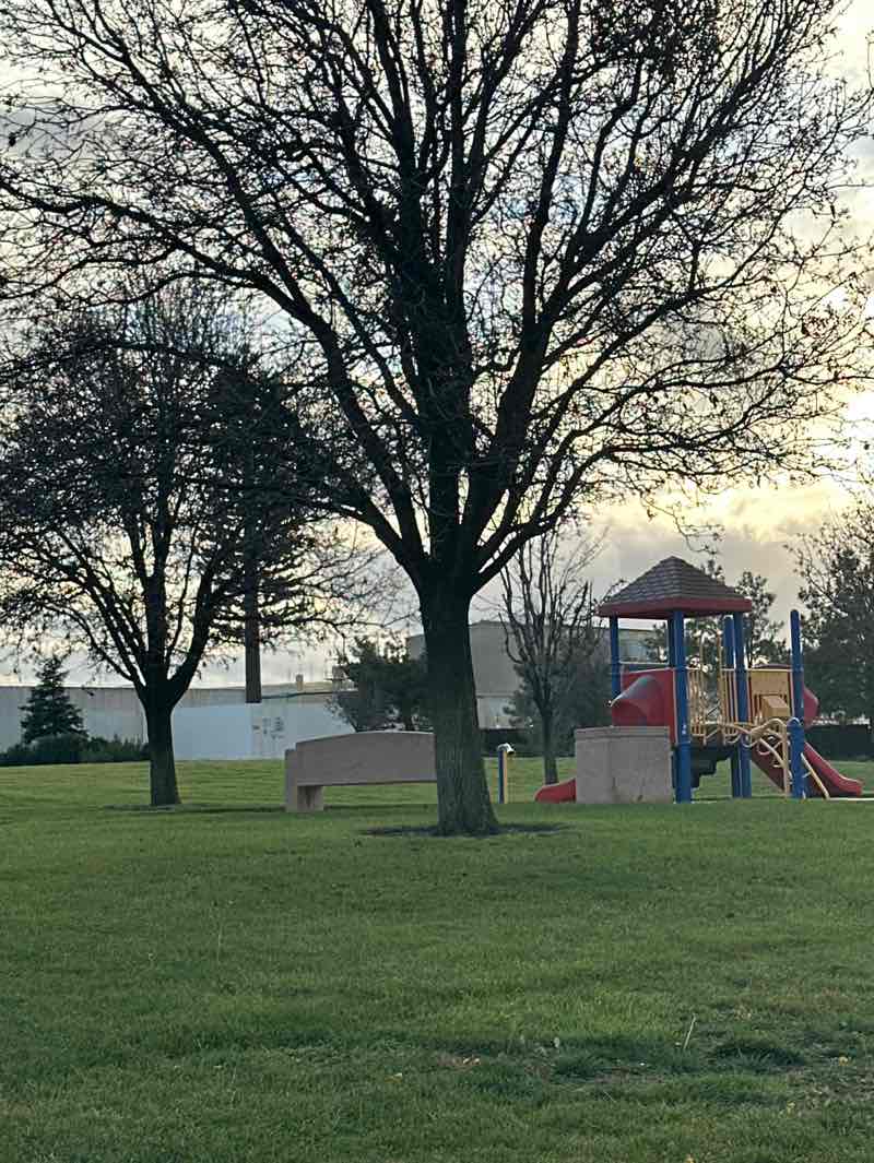 walking near me in Don Cose Park in winter