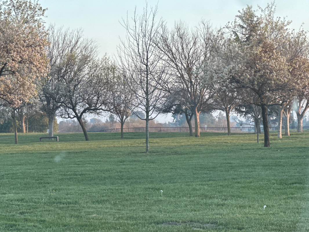 walking near me in Marlin Pound Park in winter