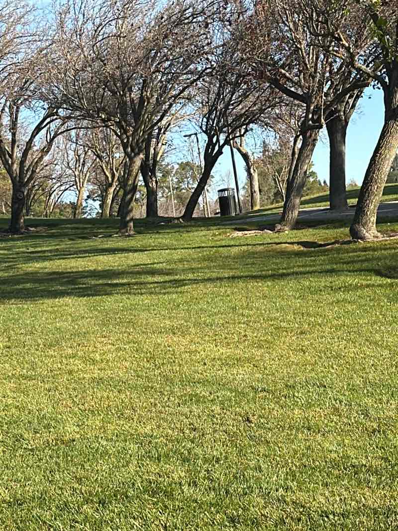 walking near me in Dolan Park in winter