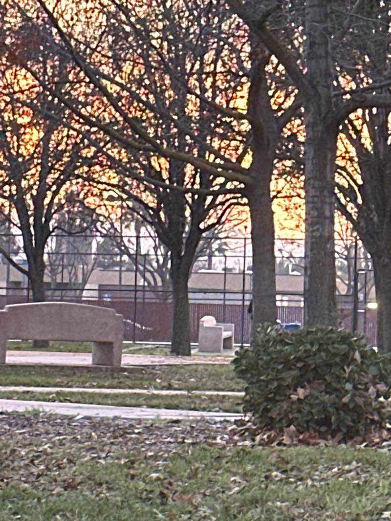 walking near me in William Adams Park in winter