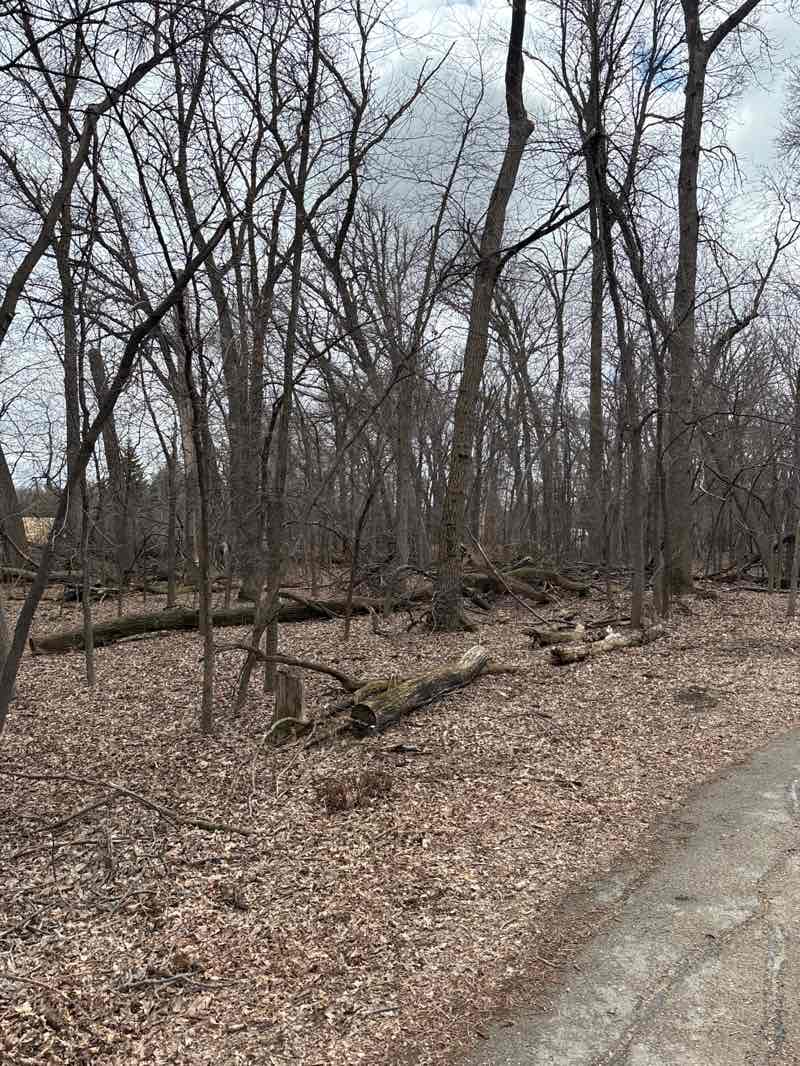walking near me in Kings Park in spring